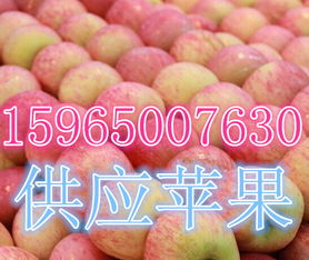 莒縣傲翔農(nóng)副產(chǎn)品購銷處 探索海量高清圖片庫，展現(xiàn)農(nóng)副產(chǎn)品的天然魅力
