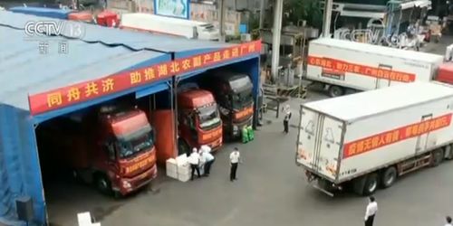 多措并舉拓銷路，湖北農副產品產銷兩旺譜新篇